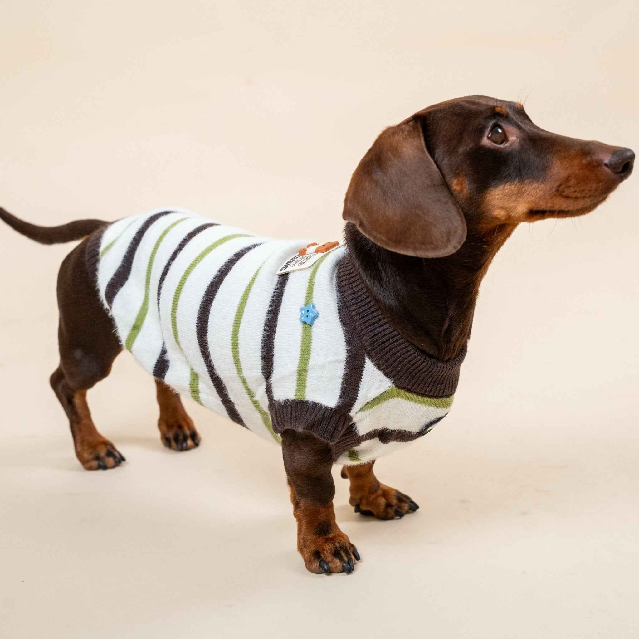 Maglione  a marrone righe in pelliccia sintetica per animali domestici – Autunno/Inverno