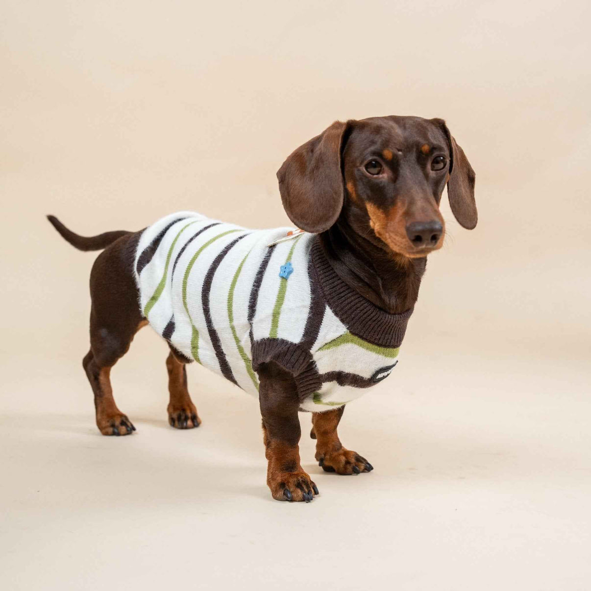 Maglione  a marrone righe in pelliccia sintetica per animali domestici – Autunno/Inverno