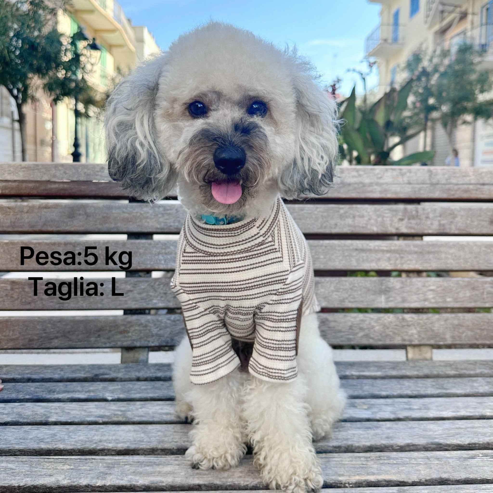 Maglione a Righe Avorio e Caramello – Fascino Accademico Vintage e Comfort Accogliente per  Pets