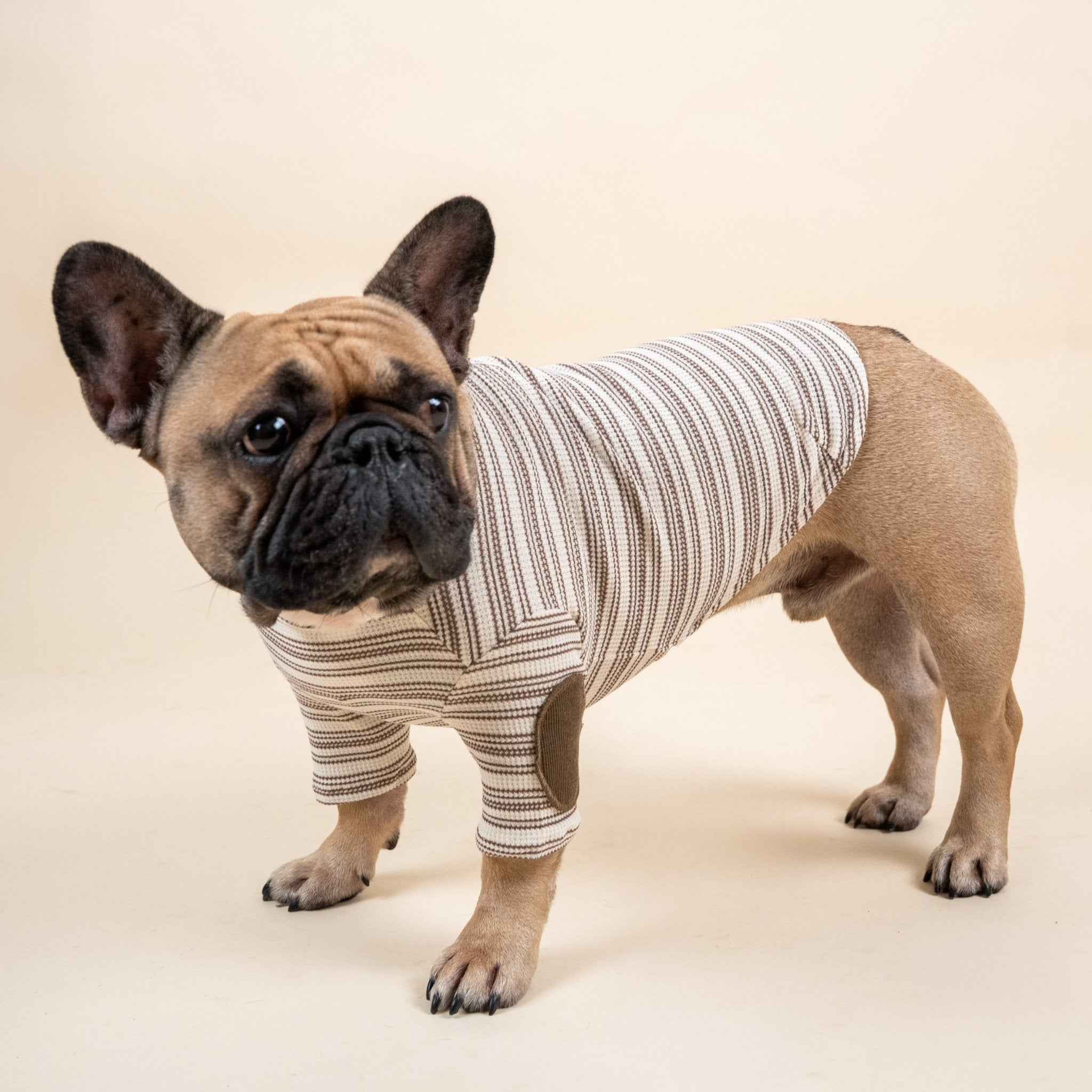 Maglione a Righe Avorio e Caramello – Fascino Accademico Vintage e Comfort Accogliente per  Pets