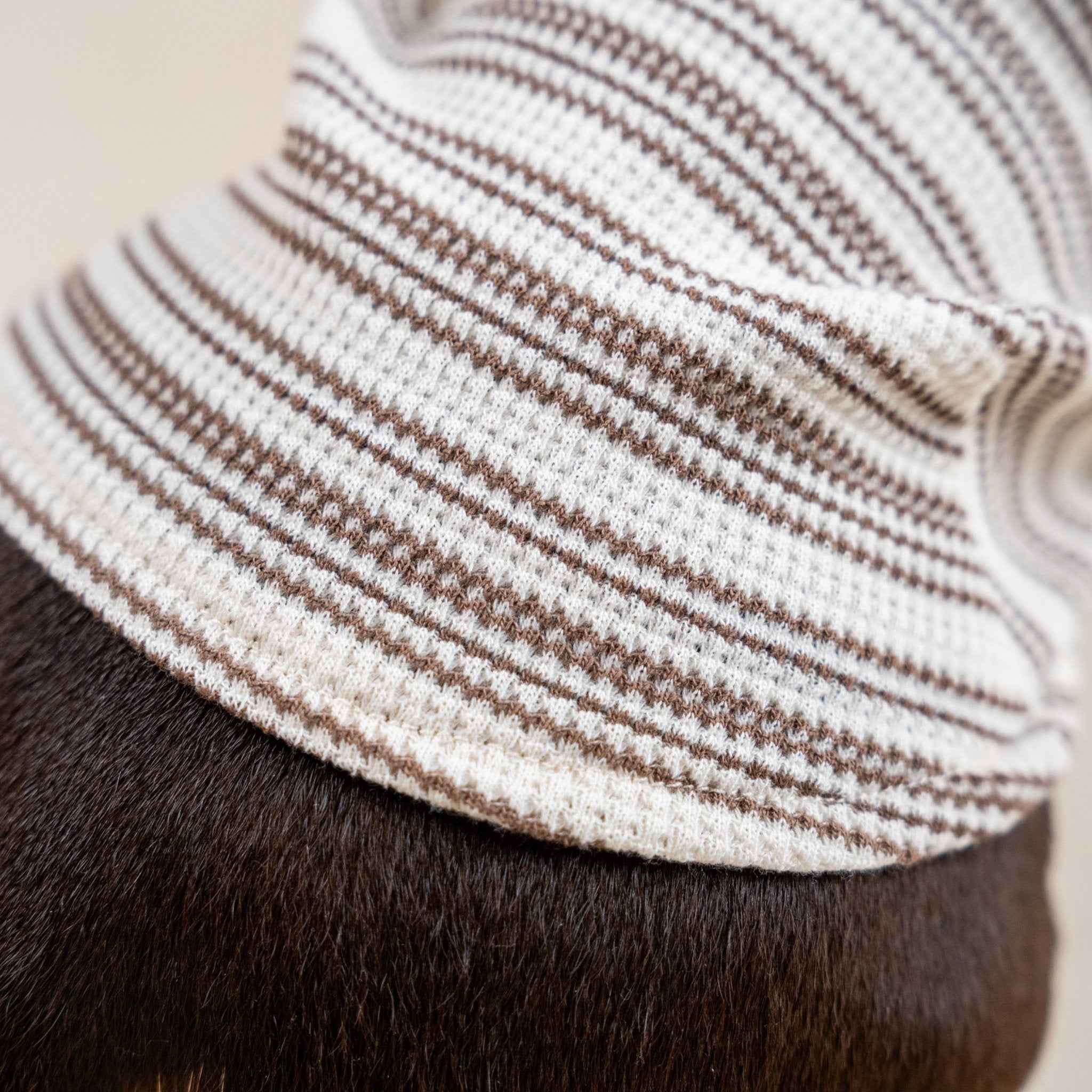Maglione a Righe Avorio e Caramello – Fascino Accademico Vintage e Comfort Accogliente per  Pets