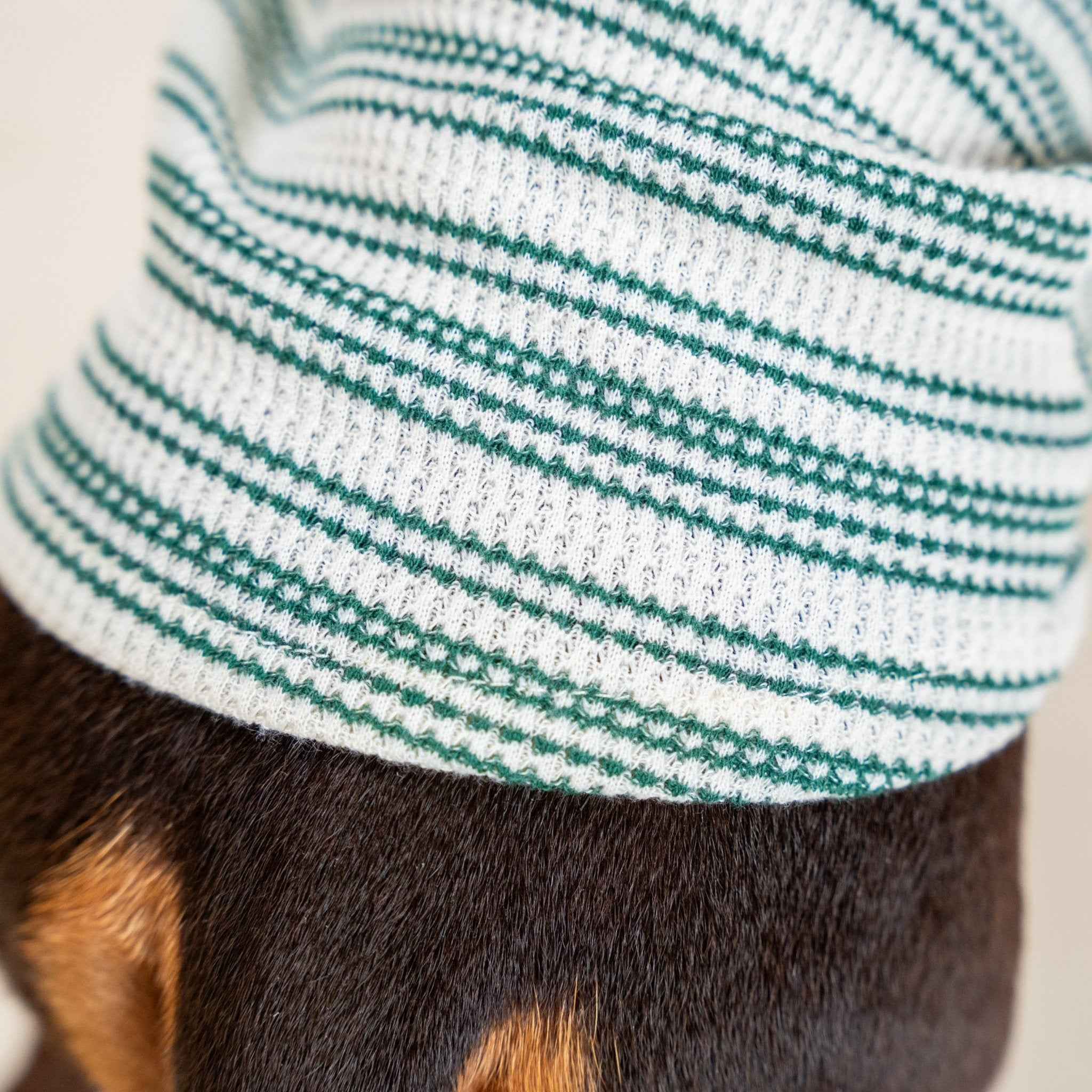 Maglione a Righe Verde e Bianco – Eleganza Vintage e Comfort Accogliente per Pets