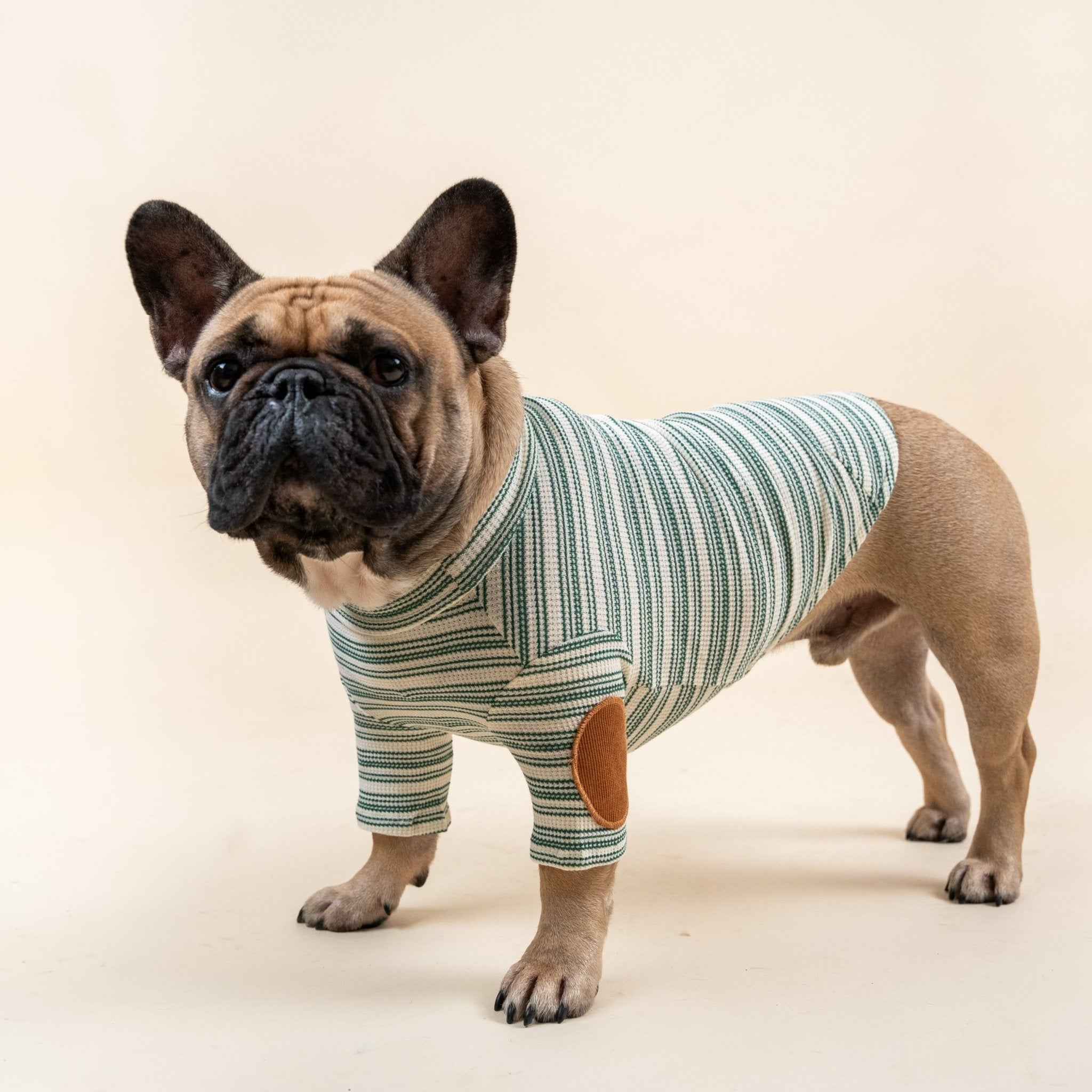 Maglione a Righe Verde e Bianco – Eleganza Vintage e Comfort Accogliente per Pets