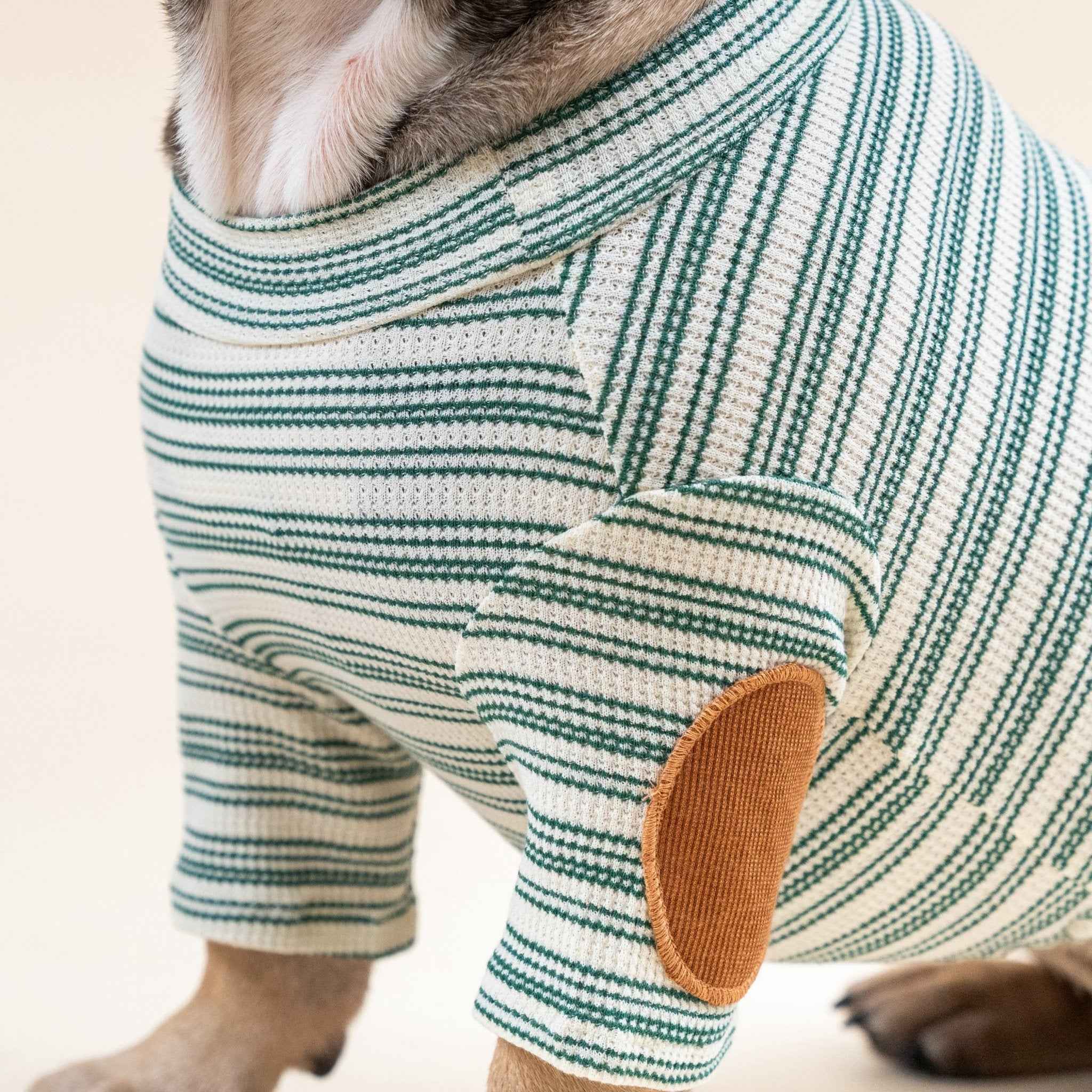 Maglione a Righe Verde e Bianco – Eleganza Vintage e Comfort Accogliente per Pets