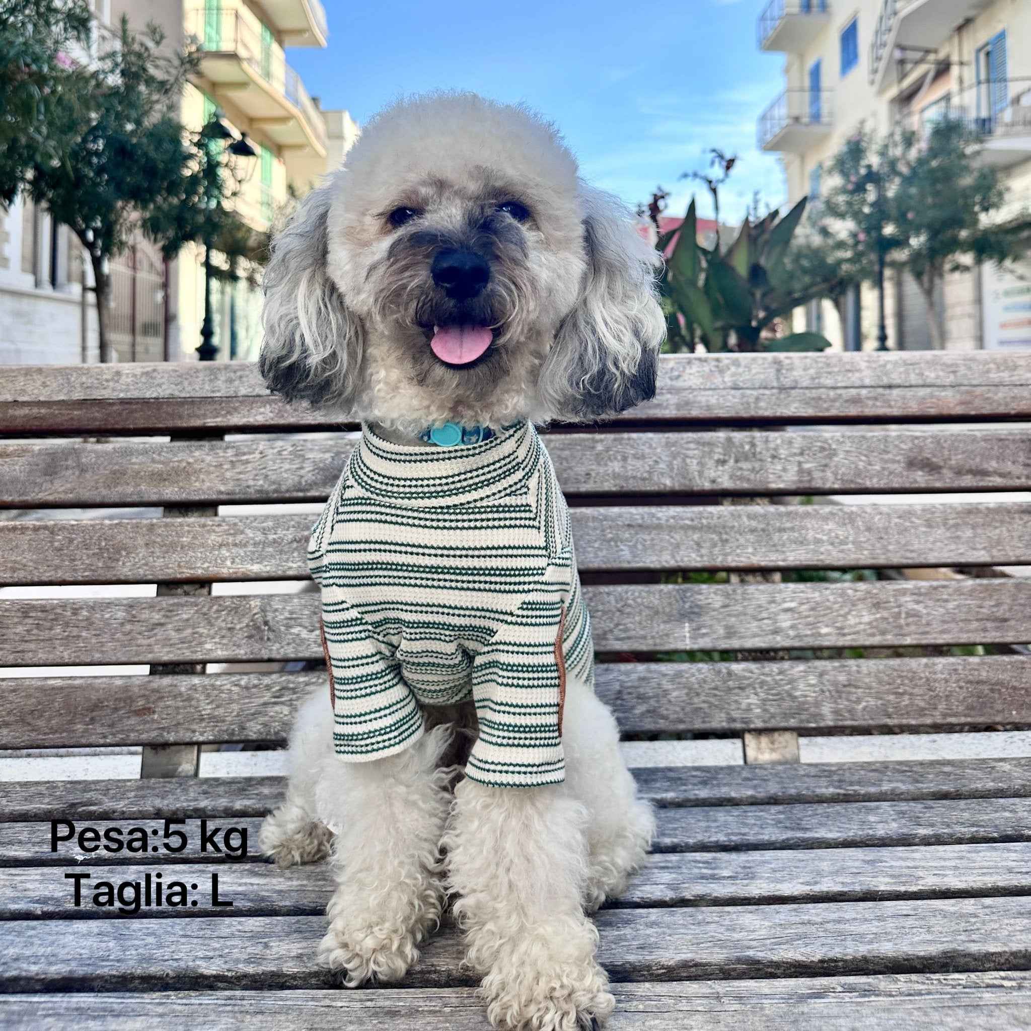 Maglione a Righe Verde e Bianco – Eleganza Vintage e Comfort Accogliente per Pets