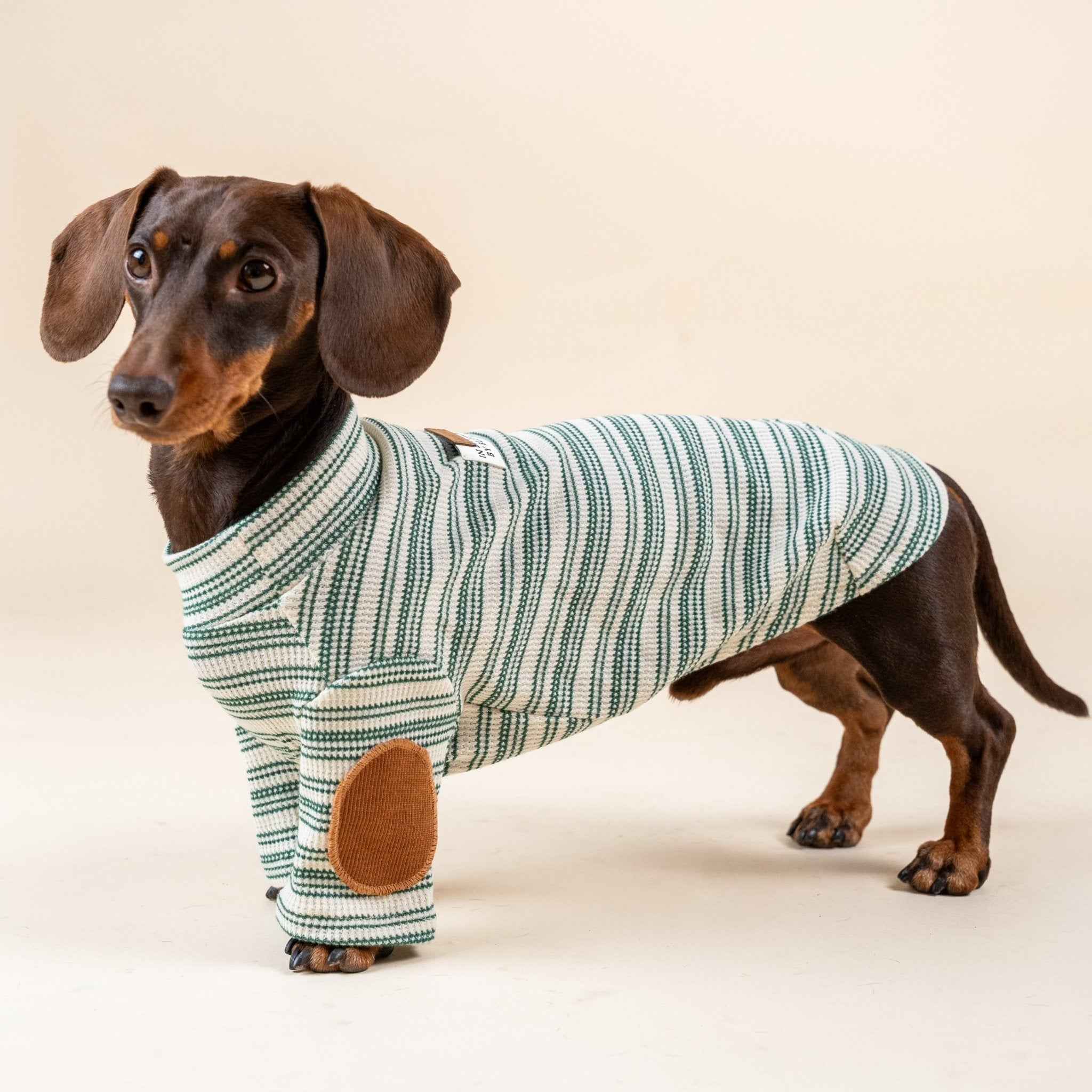 Maglione a Righe Verde e Bianco – Eleganza Vintage e Comfort Accogliente per Pets