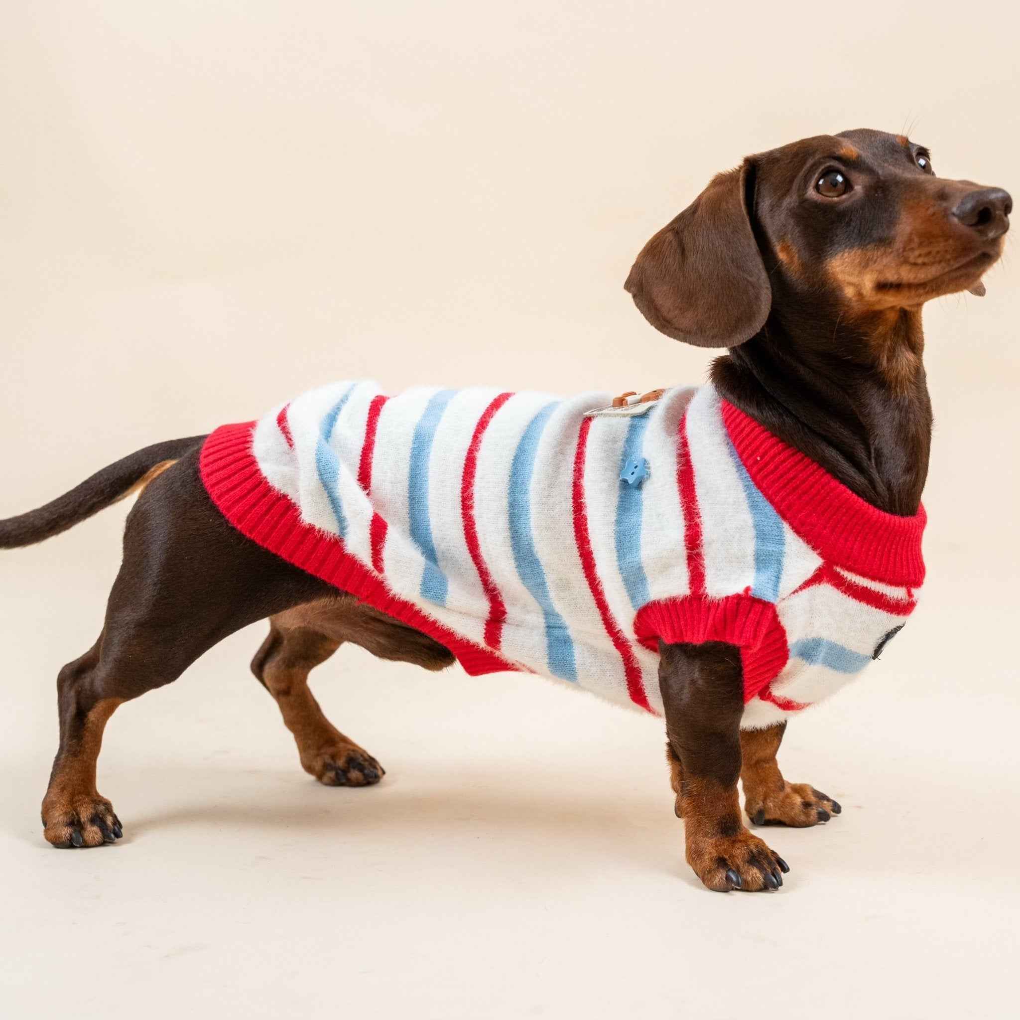 Maglione a rosso righe in pelliccia sintetica per animali domestici – Autunno/Inverno