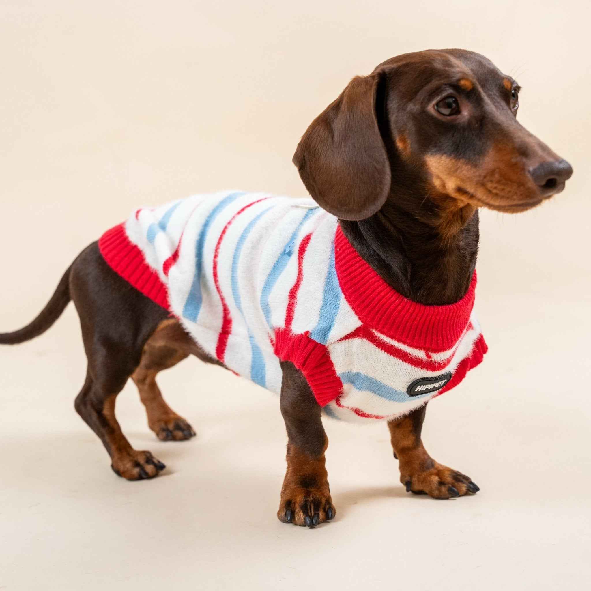 Maglione a rosso righe in pelliccia sintetica per animali domestici – Autunno/Inverno