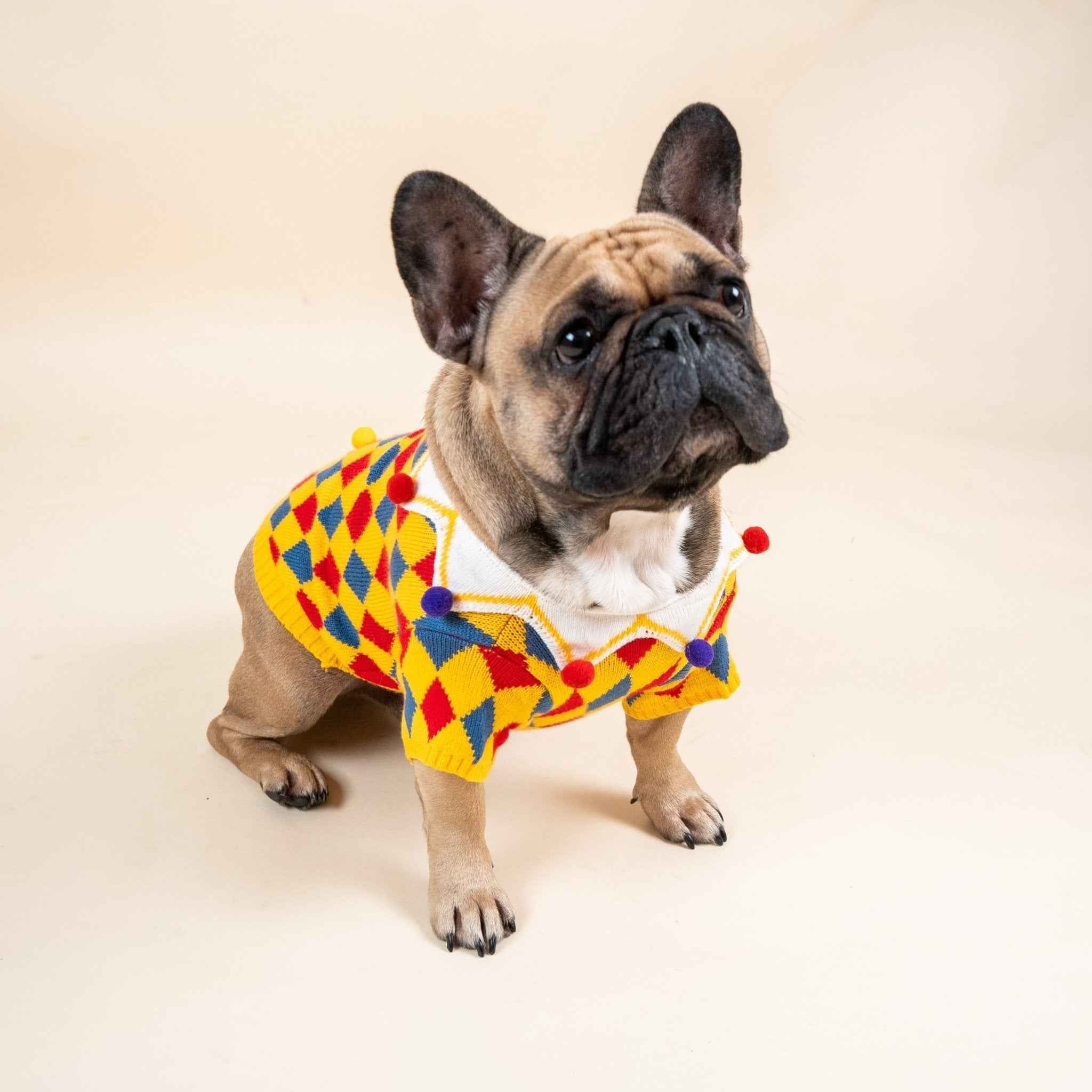 Maglione da Clown per cani in stile circo – Morbido, Elastico,Caldo e dal Design Unico