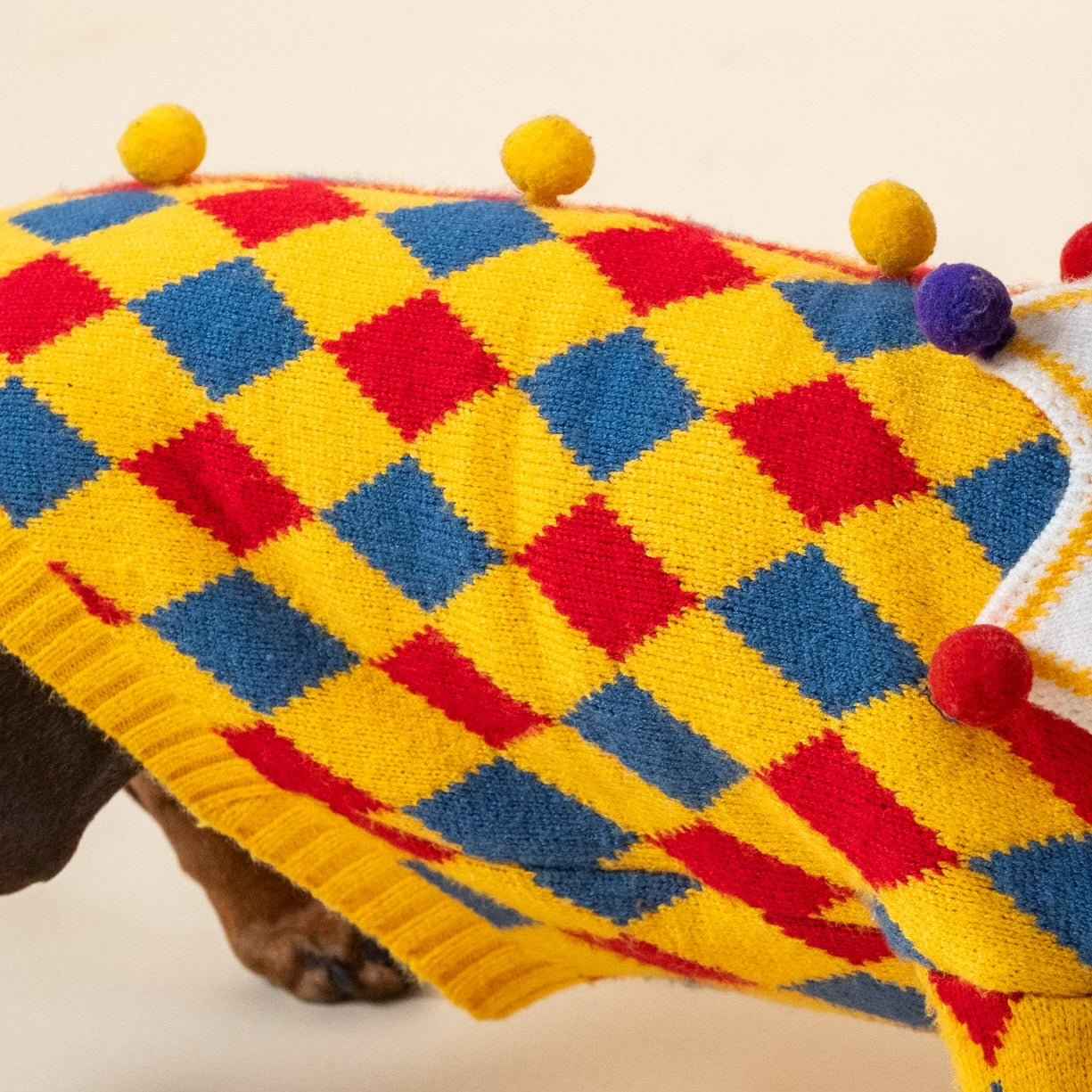 Maglione da Clown per cani in stile circo – Morbido, Elastico,Caldo e dal Design Unico