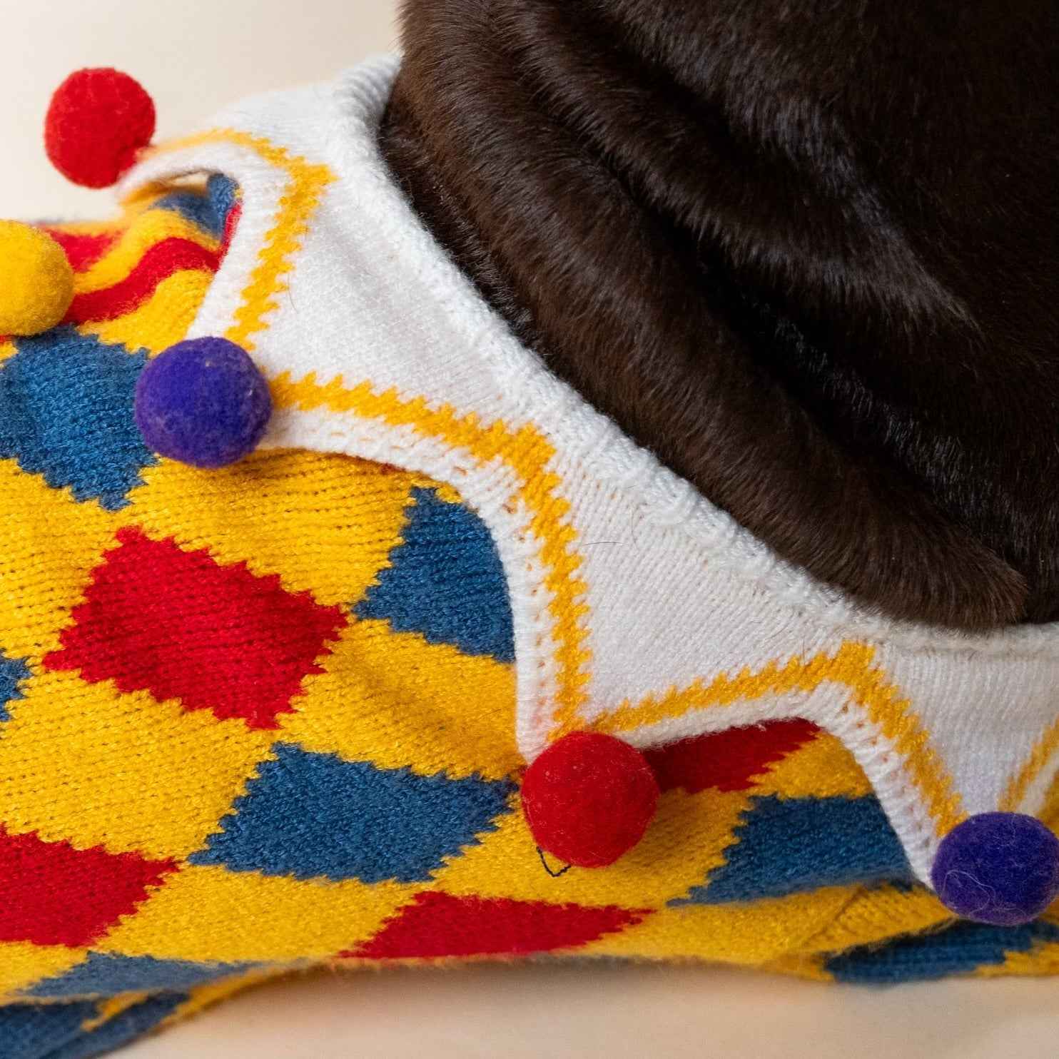 Maglione da Clown per cani in stile circo – Morbido, Elastico,Caldo e dal Design Unico