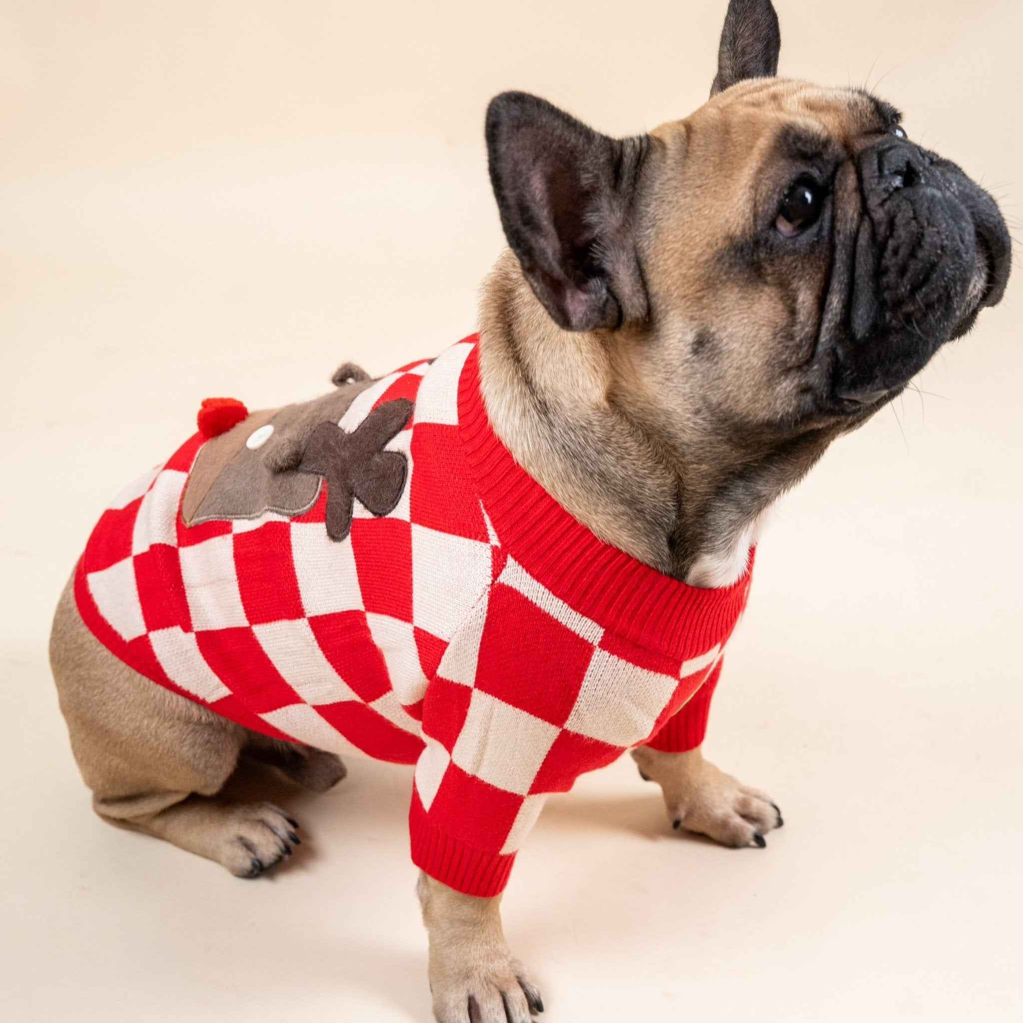 Maglione invernale per Bulldog Francese con motivo renna  – Morbido, Caldo e dal Design Festivo