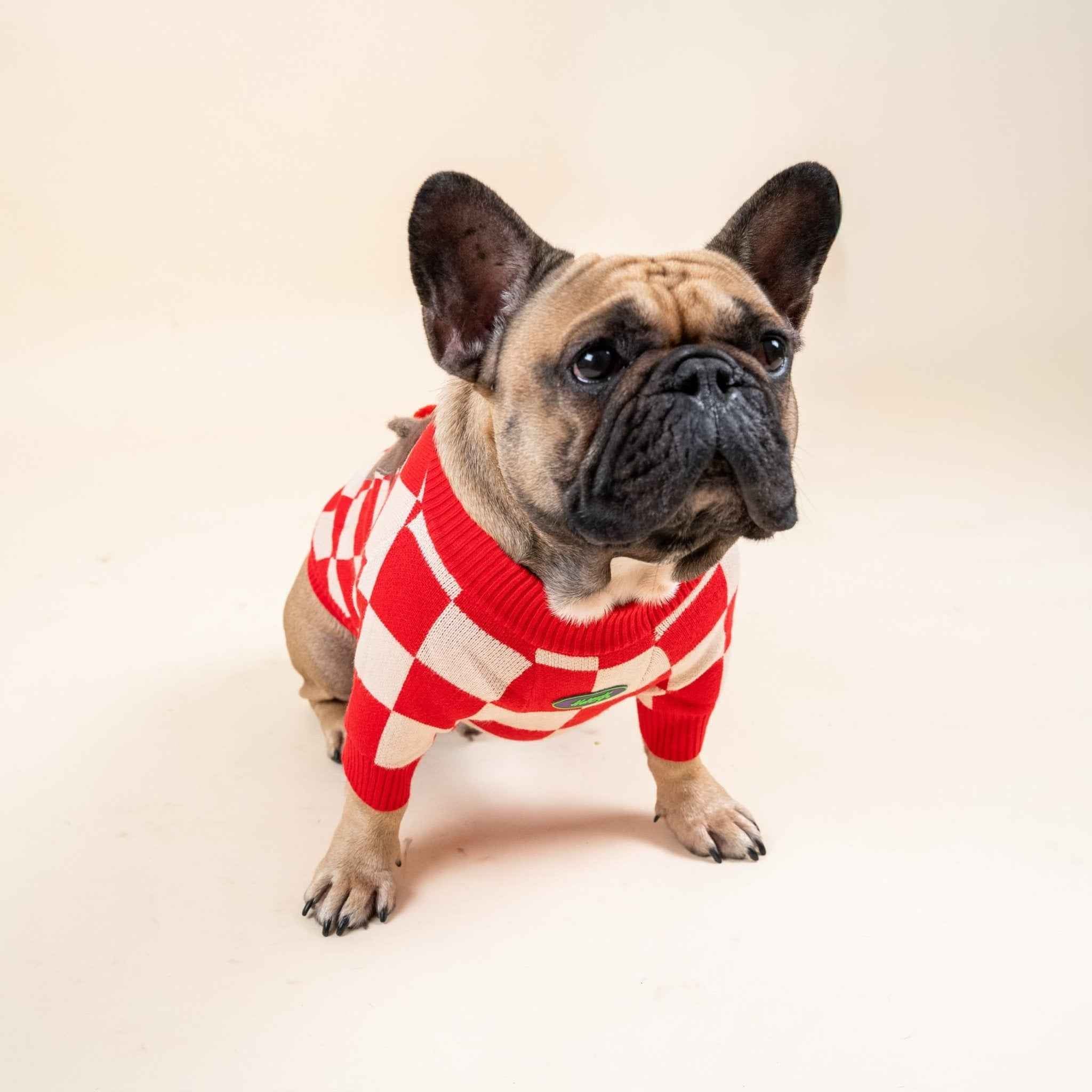 Maglione invernale per Bulldog Francese con motivo renna  – Morbido, Caldo e dal Design Festivo