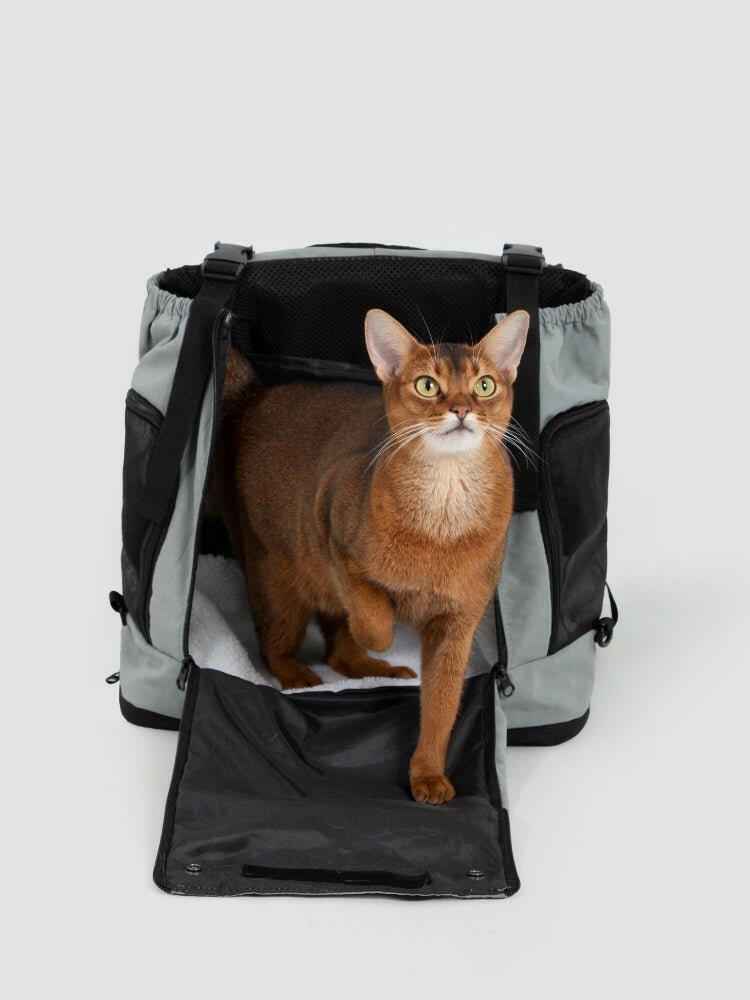 Zaino Frontale Serie Mountain – Sempre Vicini, Ovunque Vai