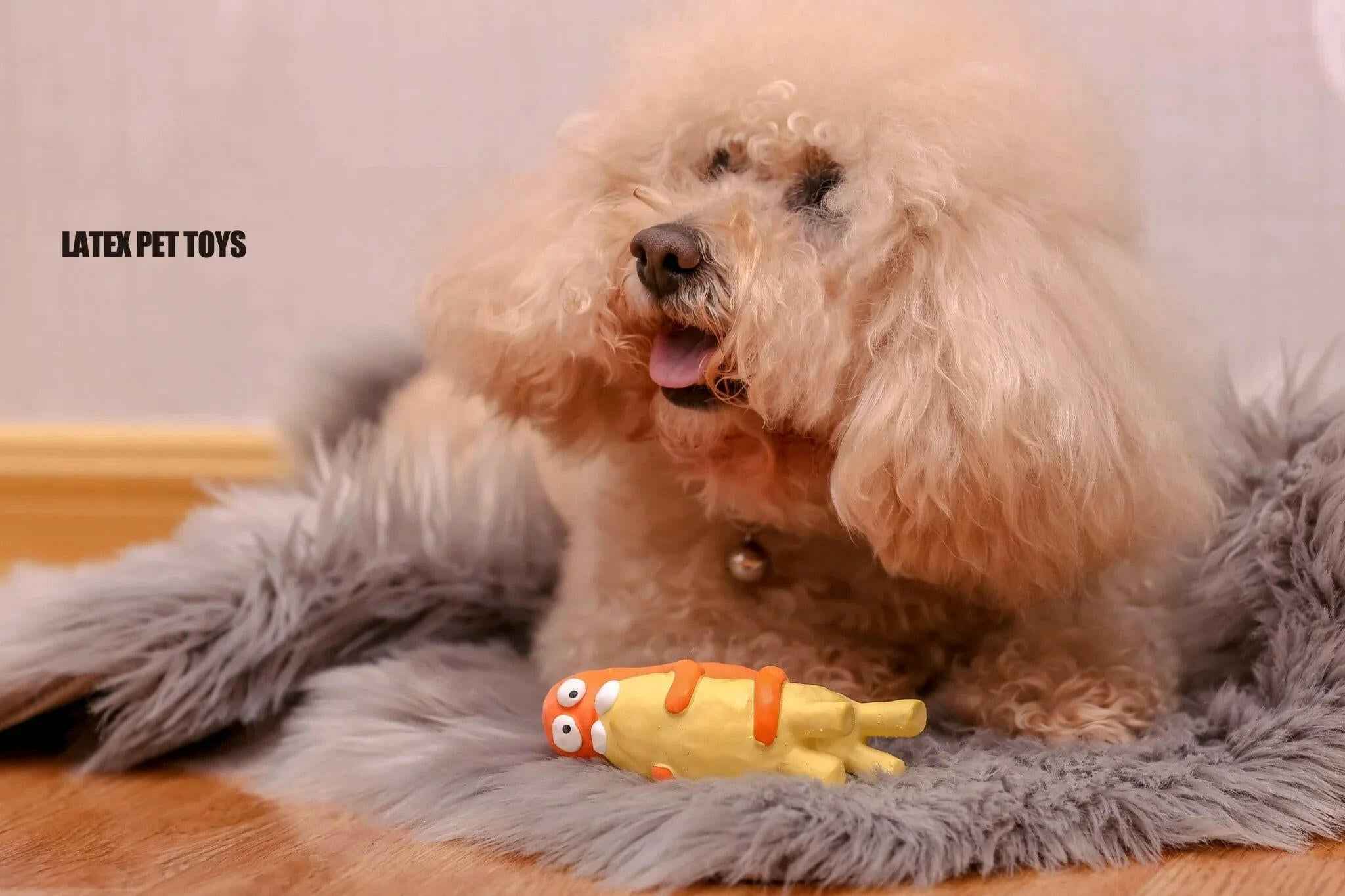 Riding Pony – Giocattolo in Silicone, Resistente e Interattivo