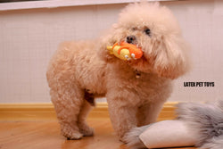 Muddy Buddies Riding Pony Plush Toy – Playful, Durable & Interactive - Paw Charge