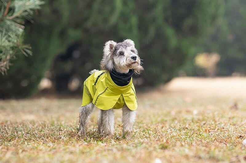 Impermeabile Neon Giallo per Cani con Cappuccio Riflettente e Design a Mantellina