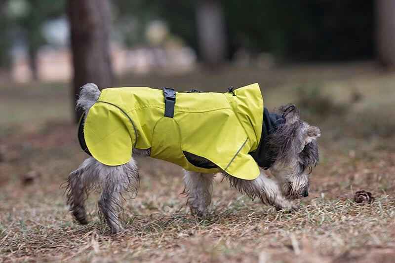 Impermeabile Neon Giallo per Cani con Cappuccio Riflettente e Design a Mantellina