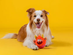 Orange Little Wobble Toy – Bouncy, Durable & Full of Personality - Paw Charge