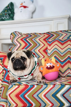 Orange Little Wobble Toy – Bouncy, Durable & Full of Personality - Paw Charge