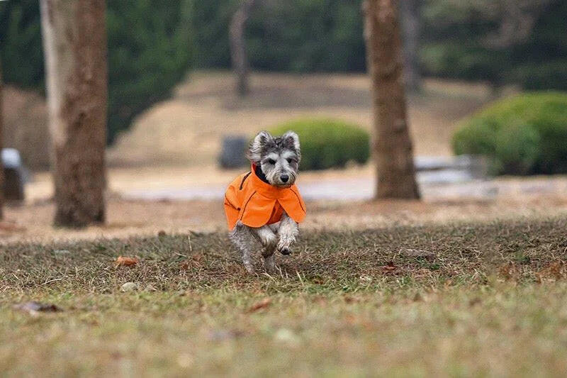 Orange Waterproof Dog Raincoat with Reflective Strips & Protective Hood - Paw Charge