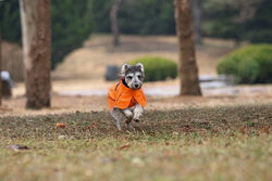 Orange Waterproof Dog Raincoat with Reflective Strips & Protective Hood - Paw Charge
