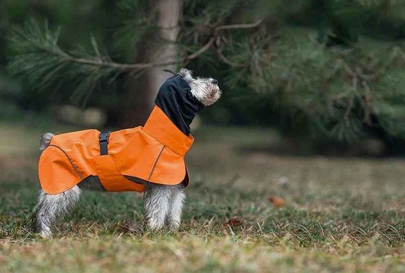 Impermeabile Arancione per Cani con Strisce Riflettenti e Cappuccio Protettivo