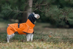 Orange Waterproof Dog Raincoat with Reflective Strips & Protective Hood - Paw Charge
