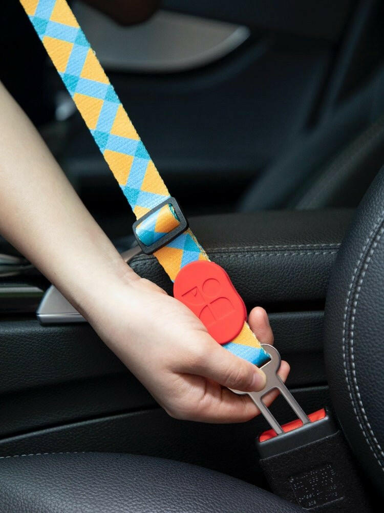 Pet Armrest Car Seat & Safety Belt Set – Secure, Comfortable Travel for Small Pets - Paw Charge
