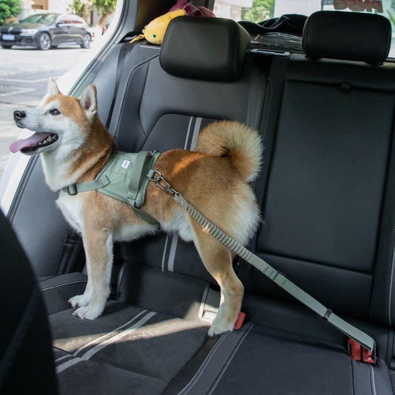 Pet Armrest Car Seat & Safety Belt Set – Secure, Comfortable Travel for Small Pets - Paw Charge