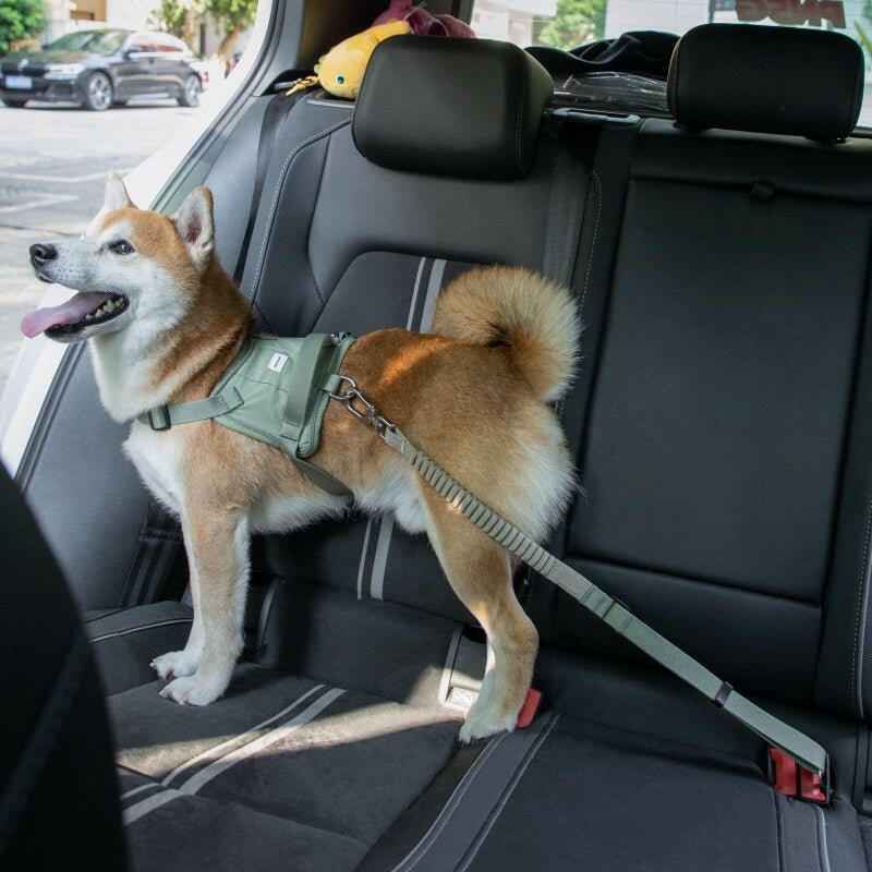 Set Seggiolino Auto + Cintura per Pet – Sicuro e Comodo