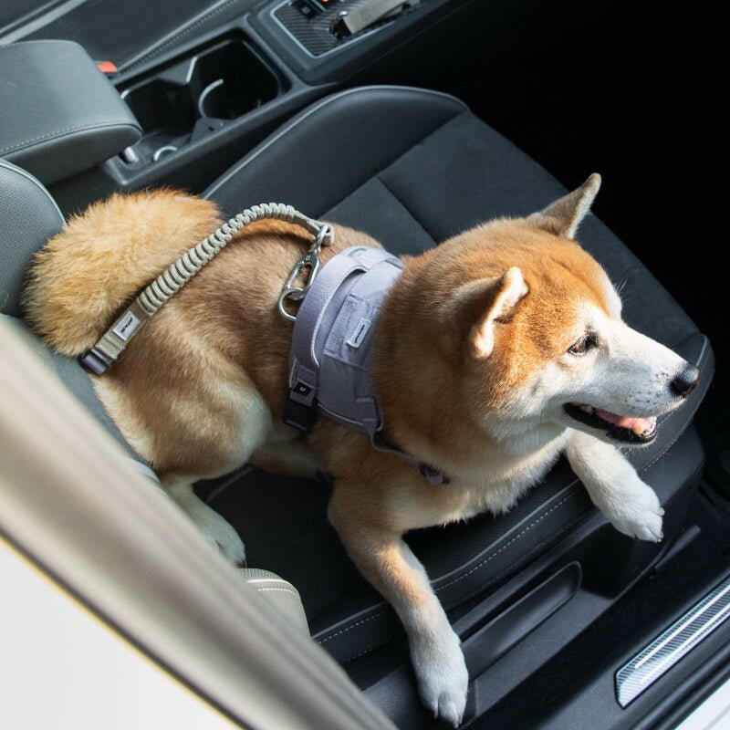 Set Seggiolino Auto + Cintura per Pet – Sicuro e Comodo