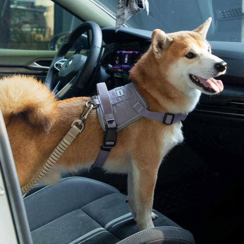 Pet Armrest Car Seat & Safety Belt Set – Secure, Comfortable Travel for Small Pets - Paw Charge