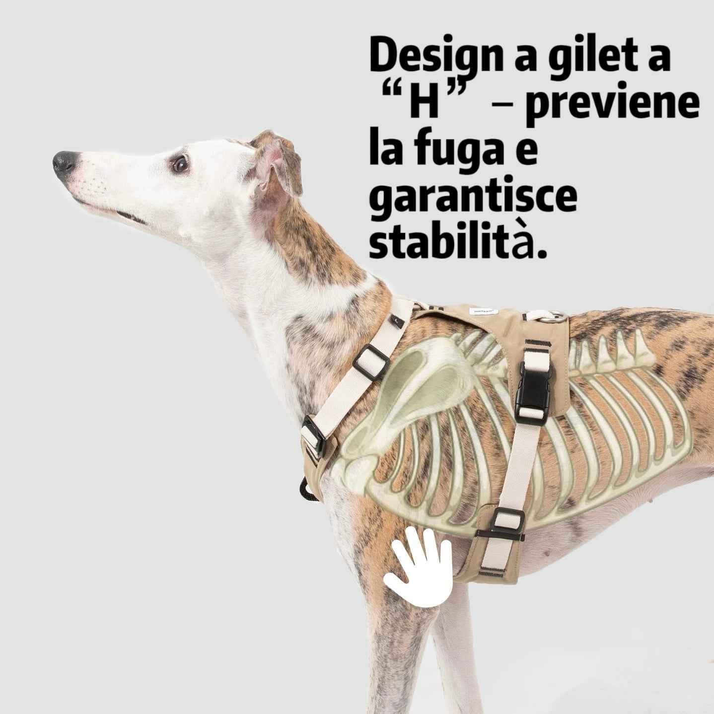 Pettorina Antitrazione per Cani – Ergonomica e Traspirante