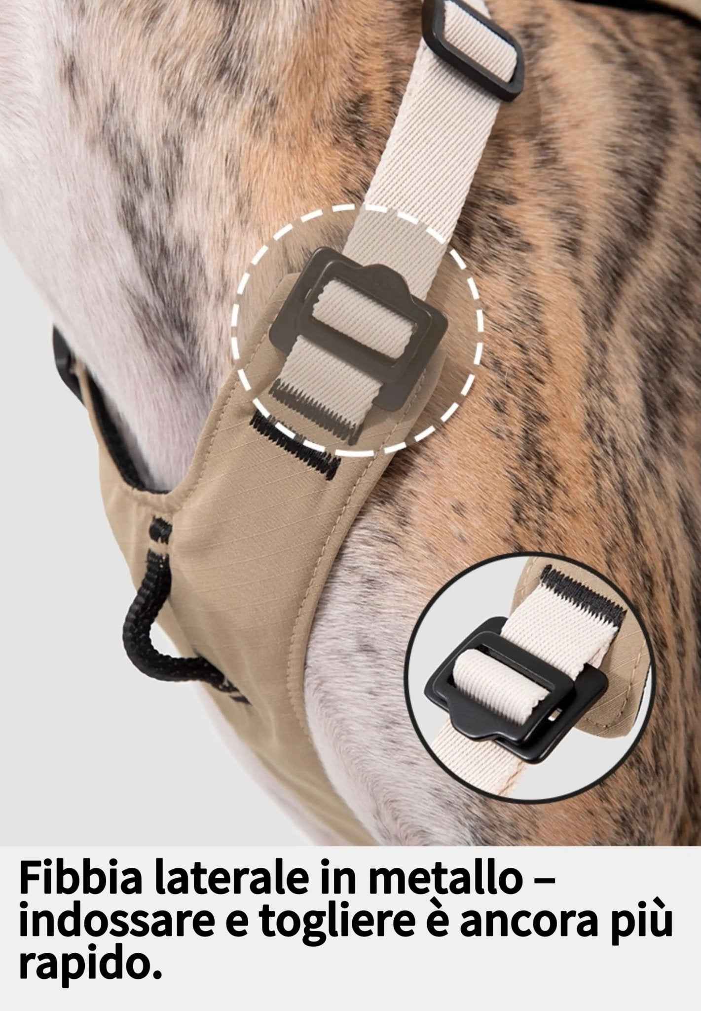 Pettorina Antitrazione per Cani – Ergonomica e Traspirante