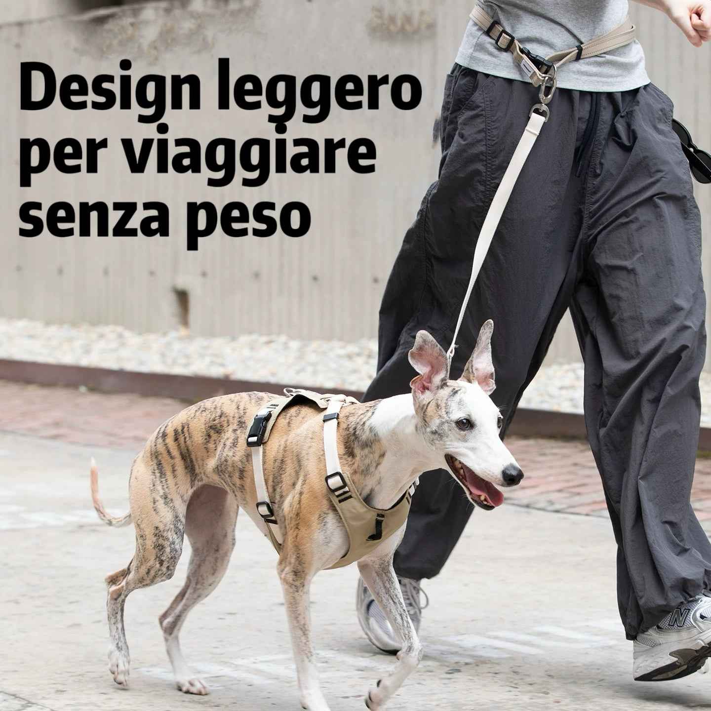 Pettorina Antitrazione per Cani – Ergonomica e Traspirante