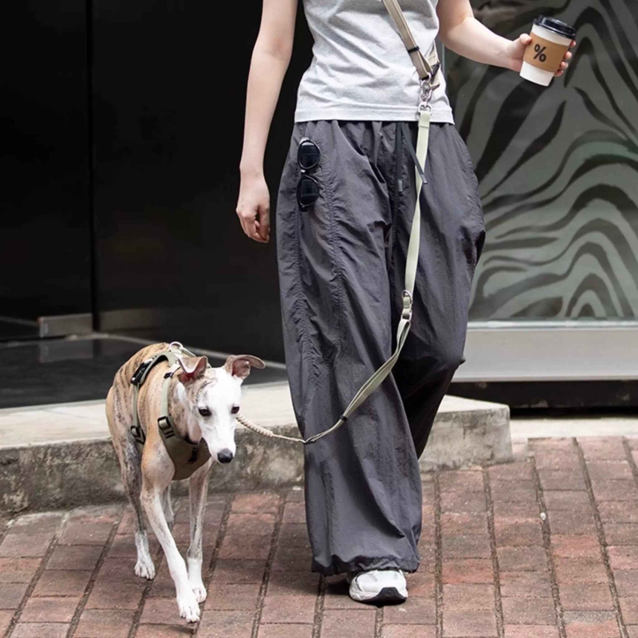 Pettorina Antitrazione per Cani – Ergonomica e Traspirante