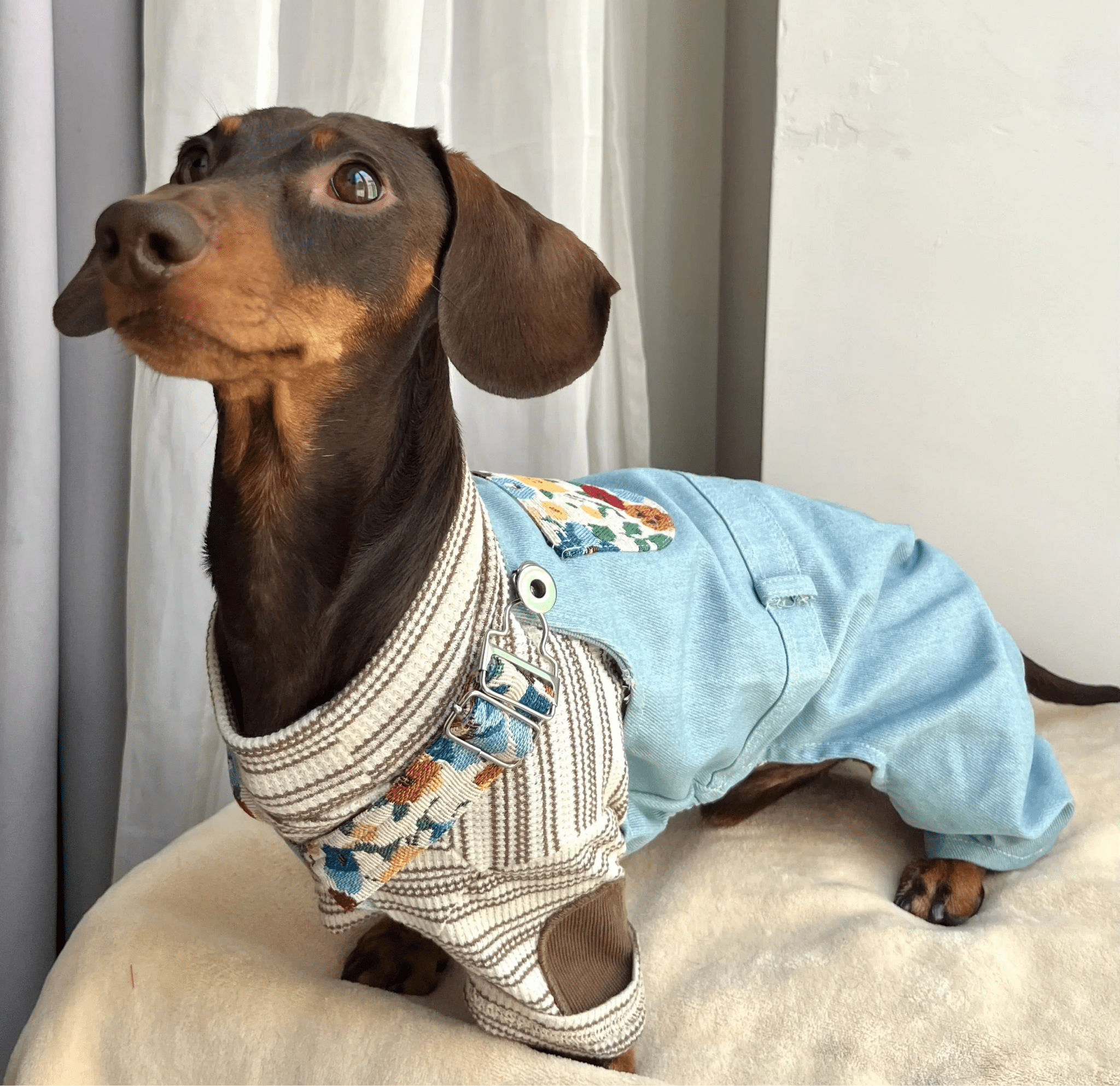Salopette in Denim Azzurro per Animali – Romantico Stile Vintage Floreale e Comfort Regolabile - Paw Charge