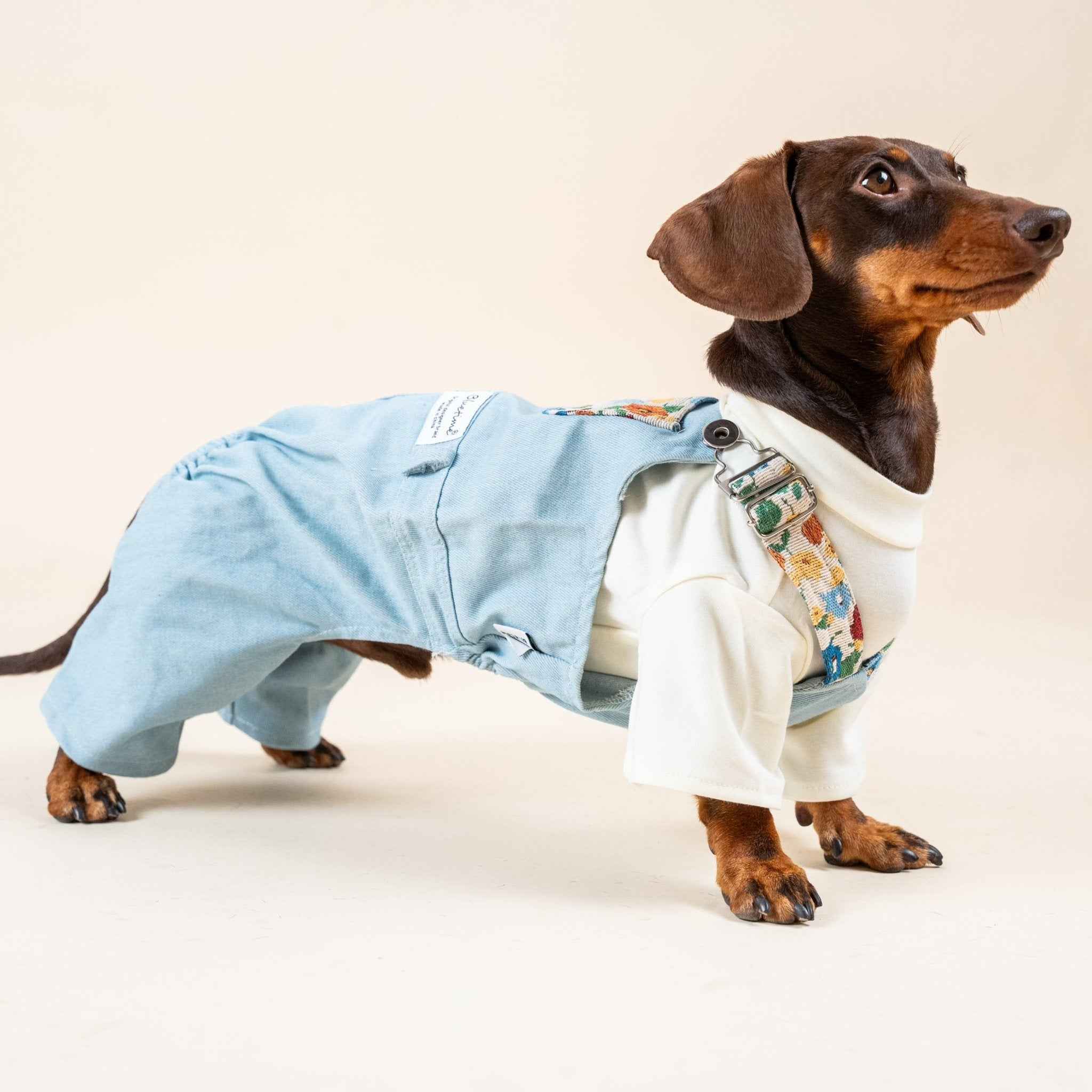 Salopette in Denim Azzurro per Animali – Romantico Stile Vintage Floreale e Comfort Regolabile