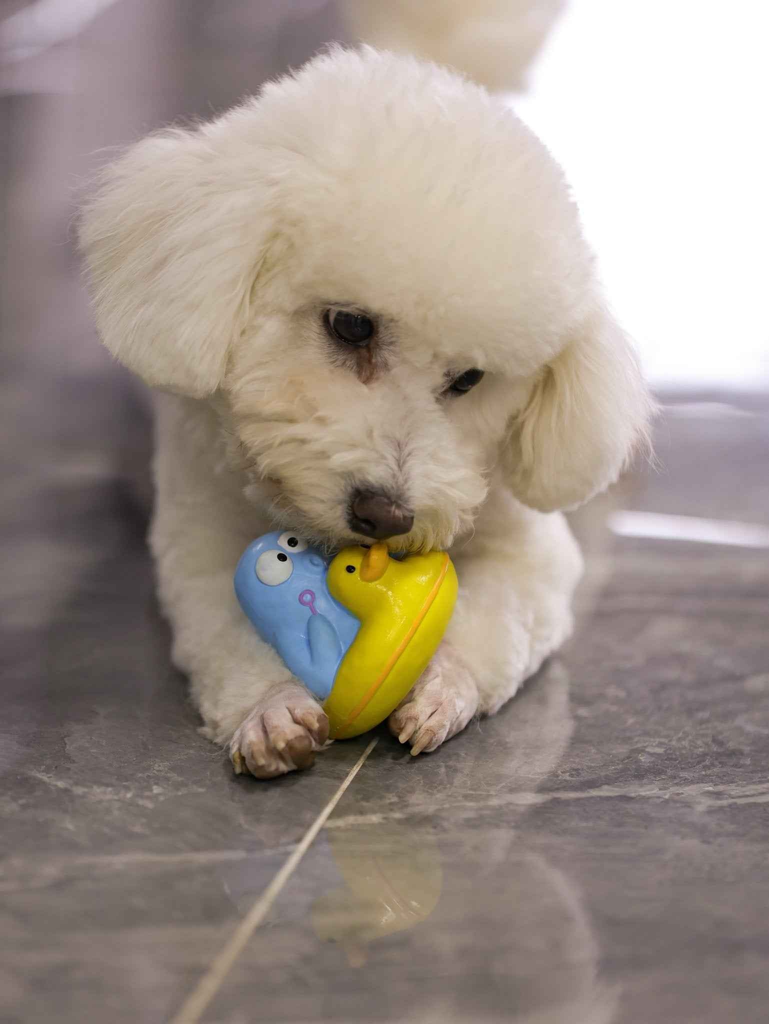 Giocattolo per Cani a Forma di Anatra – Galleggiante, Resistente e Perfetto per l’Acqua