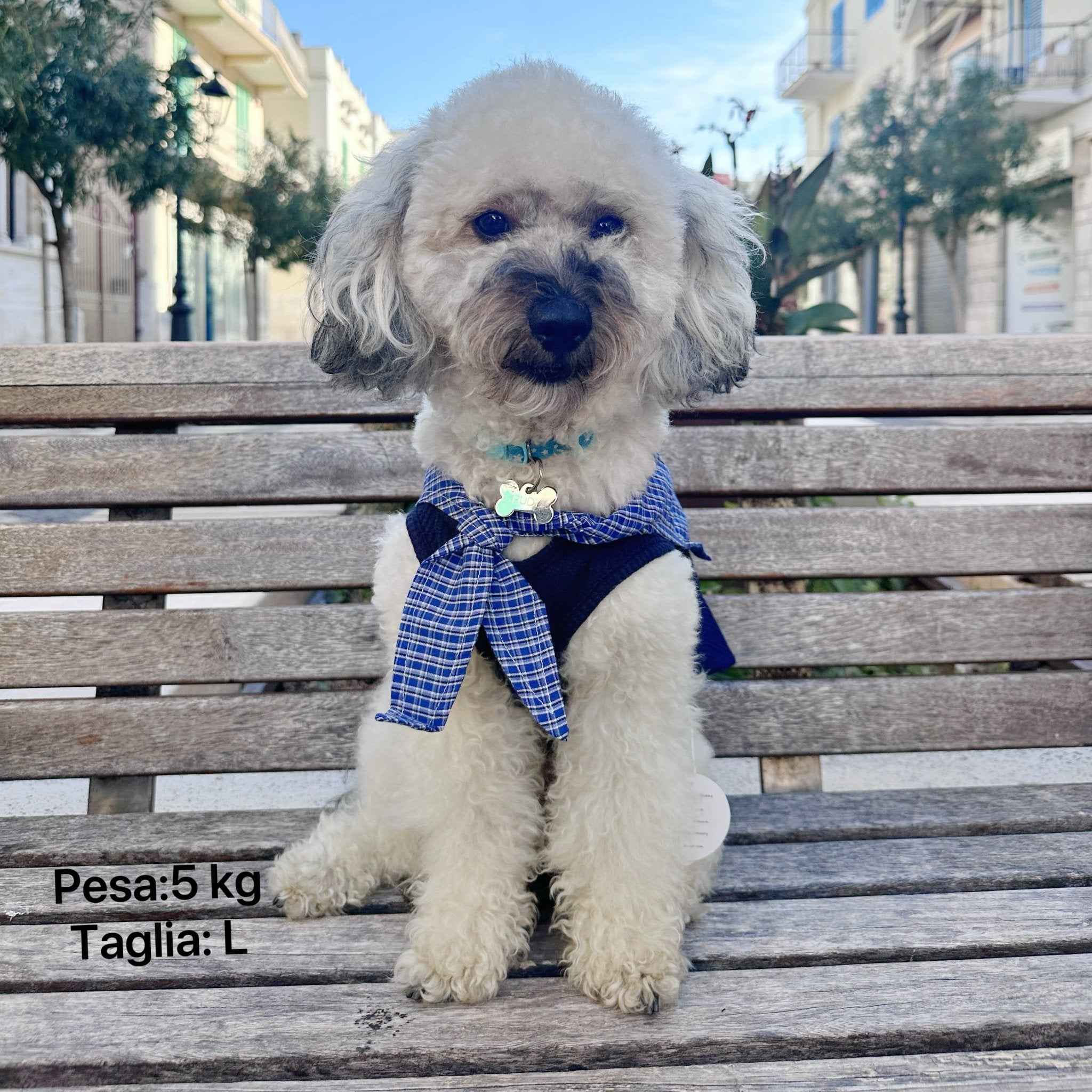 Top Marinaro per Animali – Comfort e Stile Nautico