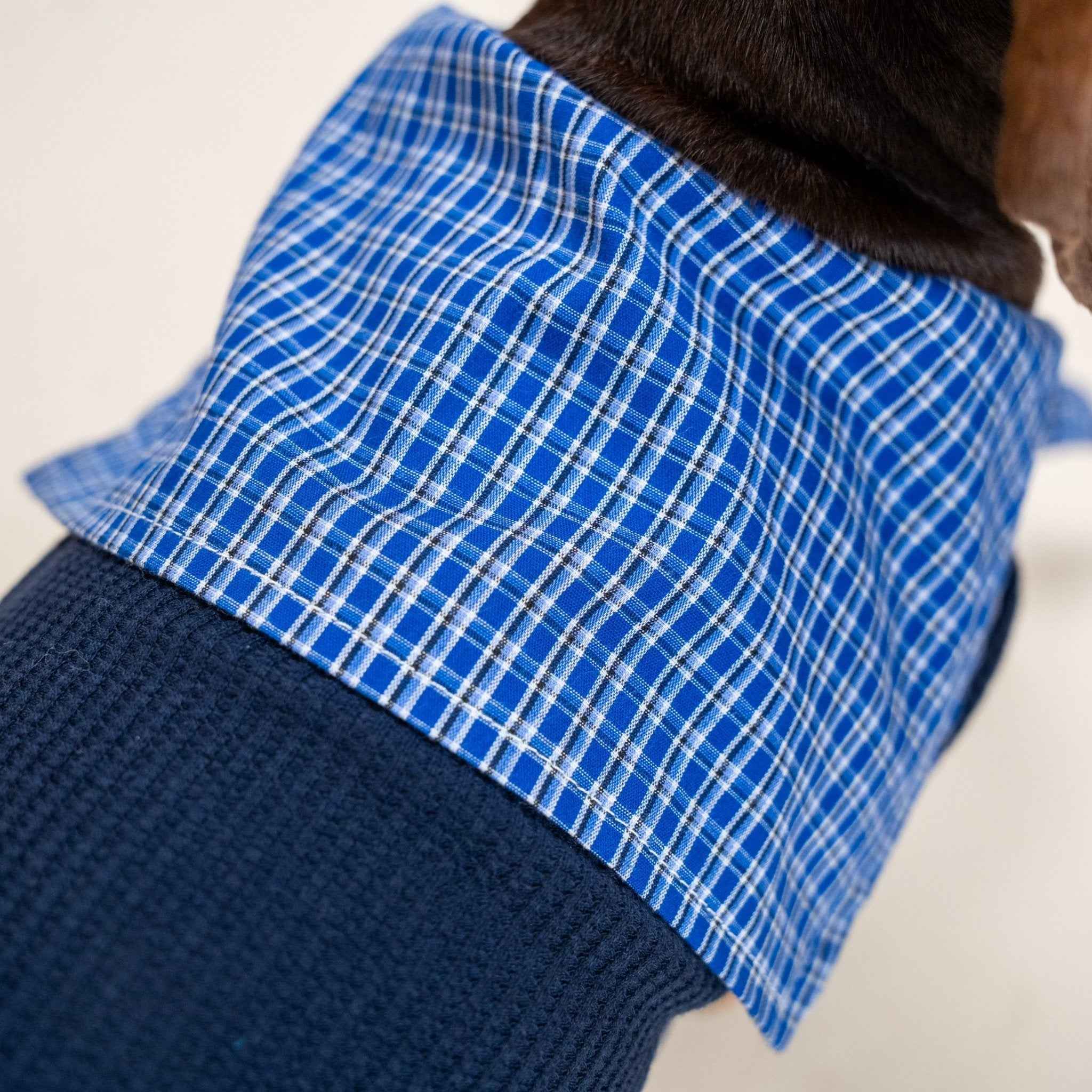 Top Marinaro per Animali – Comfort e Stile Nautico