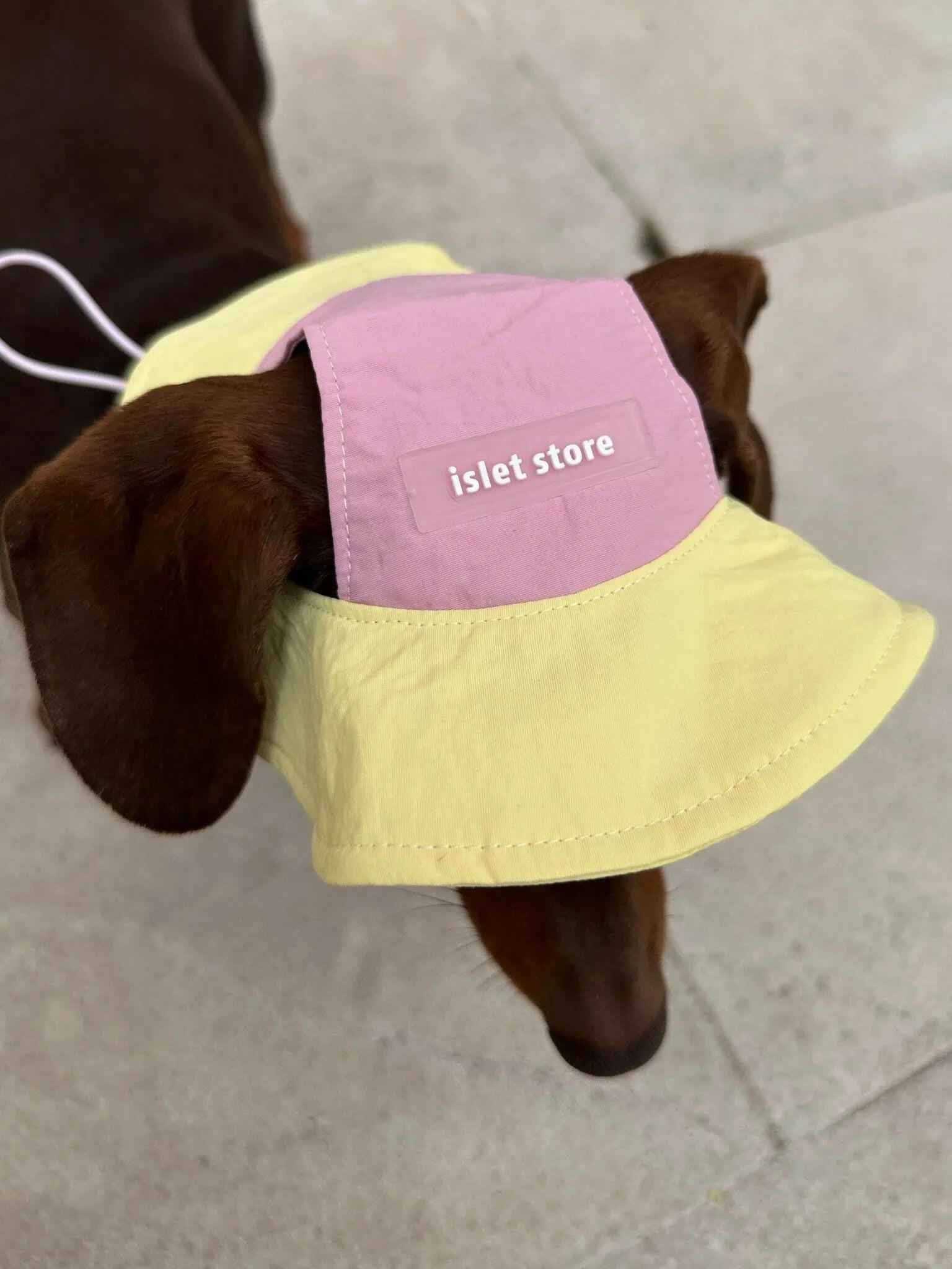 Cappellino e Bandana Rosa per Animali – Protezione Solare Carina e Traspirante