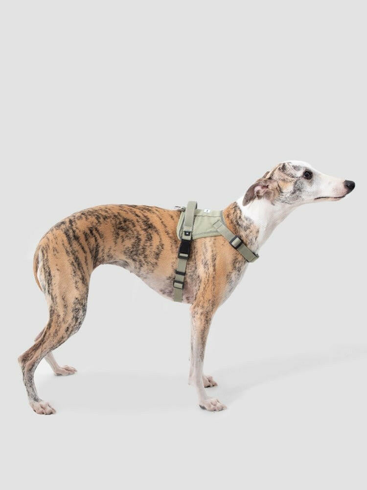 Valley Series Eco - Friendly Dog Chest Harness - Paw Charge