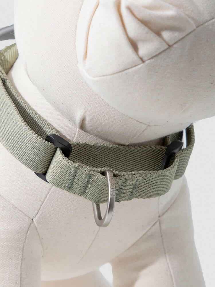 Passeggia in modo Intelligente, Sicuro ed Ecologico – Pettorina Valley Series