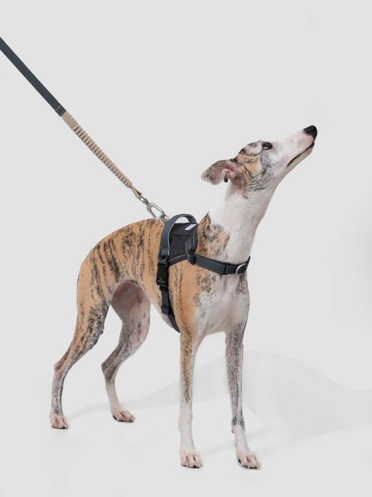 Valley Series Eco - Friendly Dog Chest Harness - Paw Charge