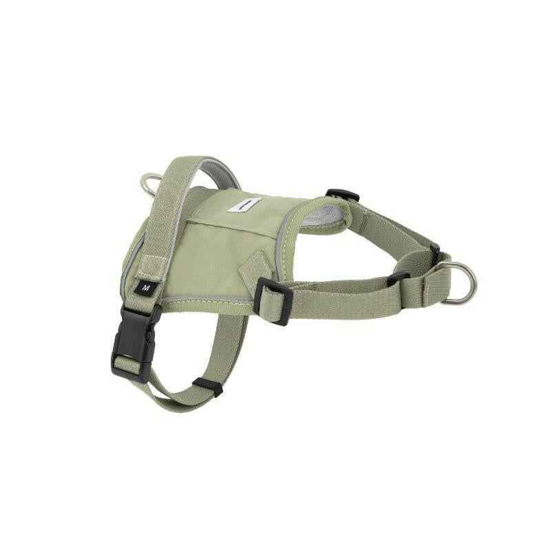 Passeggia in modo Intelligente, Sicuro ed Ecologico – Pettorina Valley Series