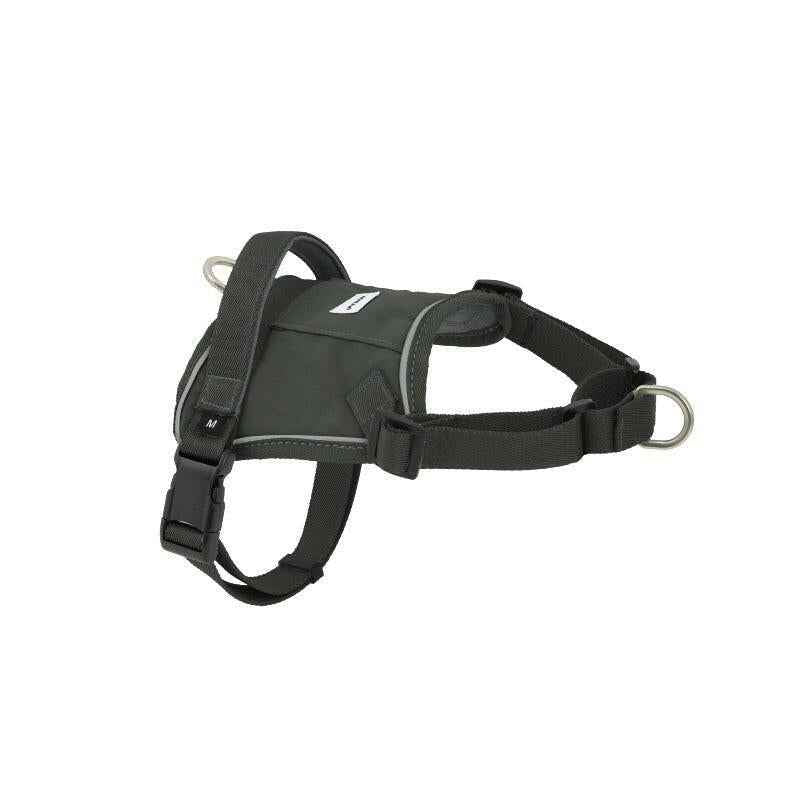 Passeggia in modo Intelligente, Sicuro ed Ecologico – Pettorina Valley Series