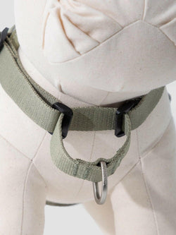 Valley Series Eco - Friendly Dog Chest Harness - Paw Charge