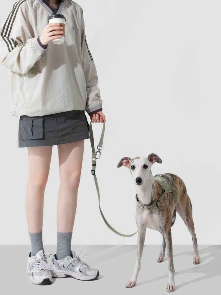 Guinzaglio Ammortizzante per Cani – Valley Series